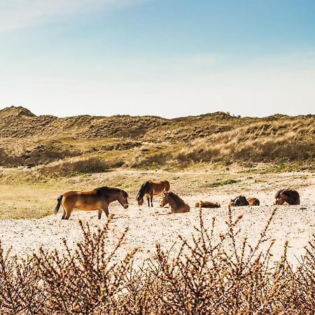 De Bollenschuur Egmond aan Zee Exterior foto