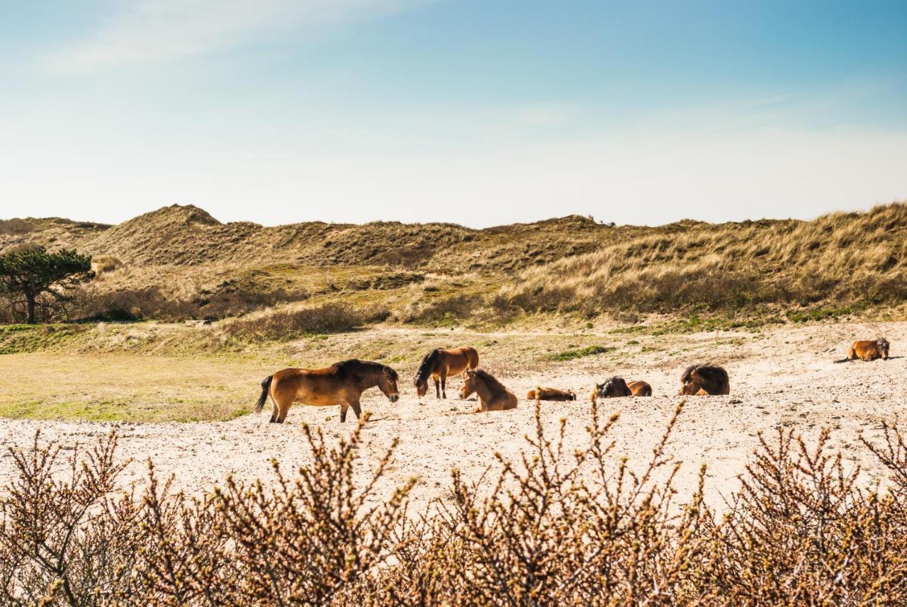 De Bollenschuur Egmond aan Zee Exterior foto